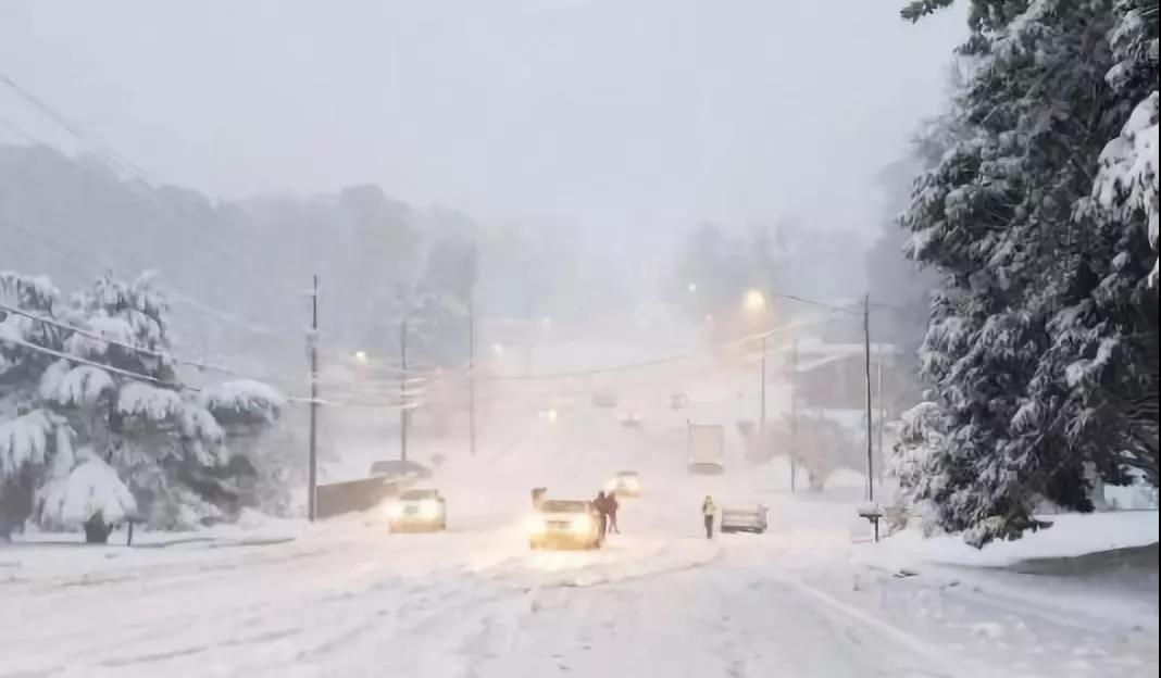 1545176658140318.jpg 8.jpg