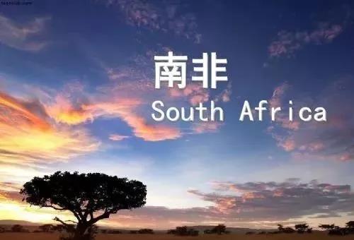 1553498568640951.jpg 1.jpg